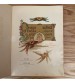 Собор Святого Князя Владимира в Киеве 1898 год